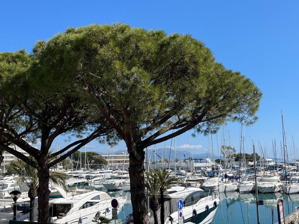 4 Pers , 100M De La Plage Marina Baie Des Anges French Riviera Villeneuve-Loubet Exterior foto